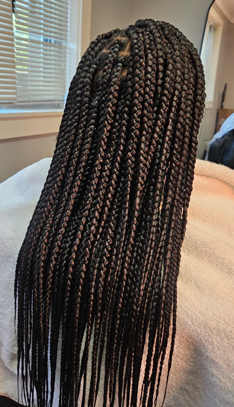 Box Braids with perfect geometric sections.